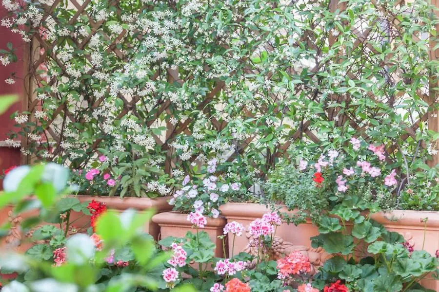 Monti Garden Guest House Rome